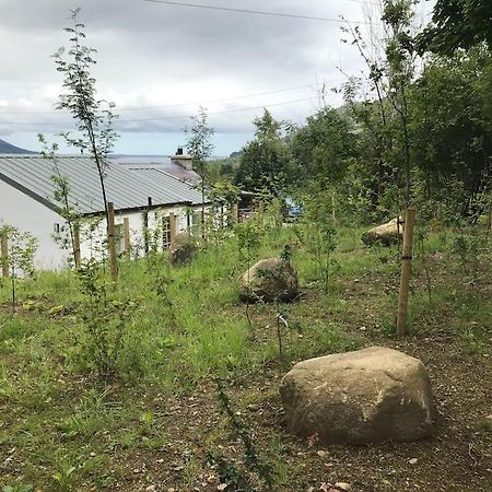 An Bothan-Cosy Cottage In The Cooley Mountains Dundalk Bagian luar foto