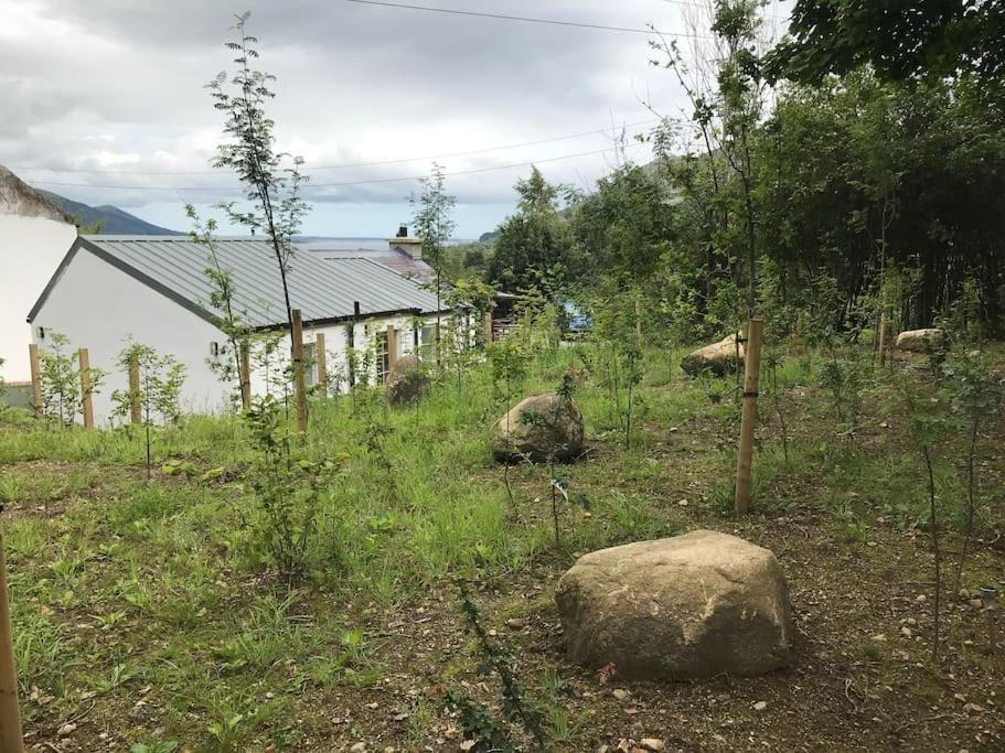 An Bothan-Cosy Cottage In The Cooley Mountains Dundalk Bagian luar foto