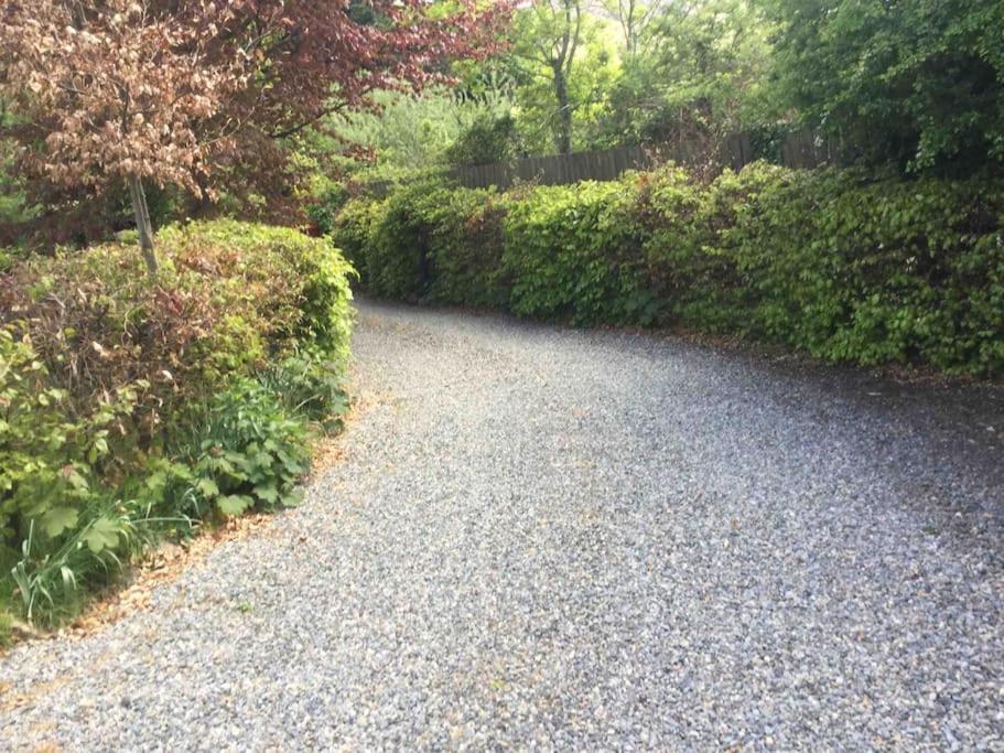 An Bothan-Cosy Cottage In The Cooley Mountains Dundalk Bagian luar foto