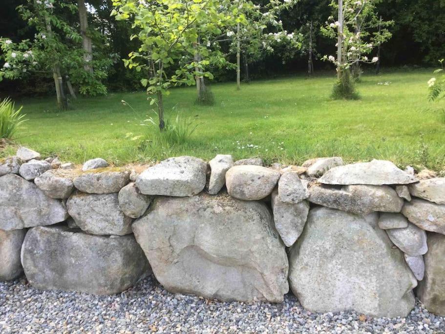 An Bothan-Cosy Cottage In The Cooley Mountains Dundalk Bagian luar foto