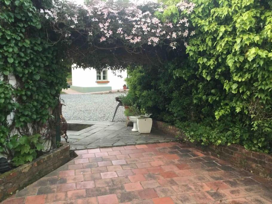 An Bothan-Cosy Cottage In The Cooley Mountains Dundalk Bagian luar foto