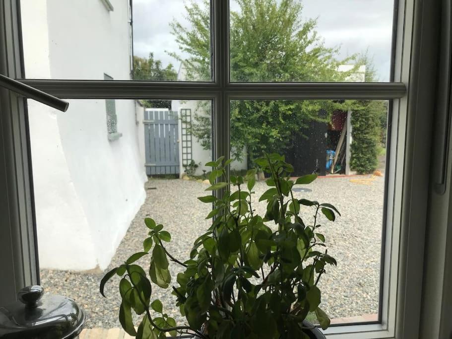 An Bothan-Cosy Cottage In The Cooley Mountains Dundalk Bagian luar foto