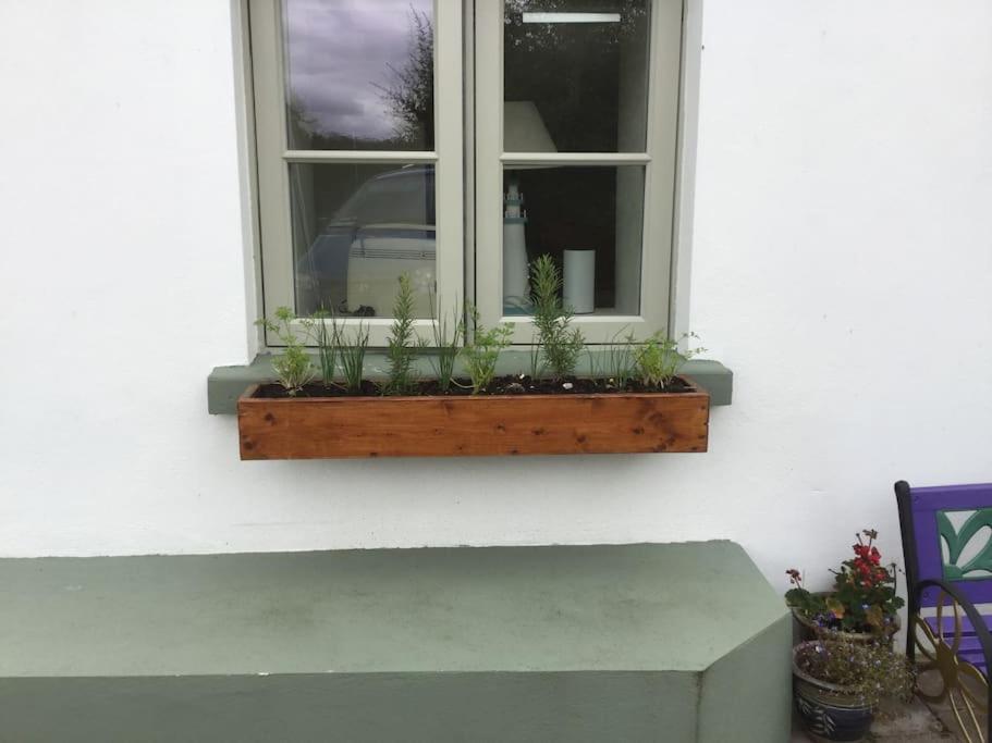 An Bothan-Cosy Cottage In The Cooley Mountains Dundalk Bagian luar foto